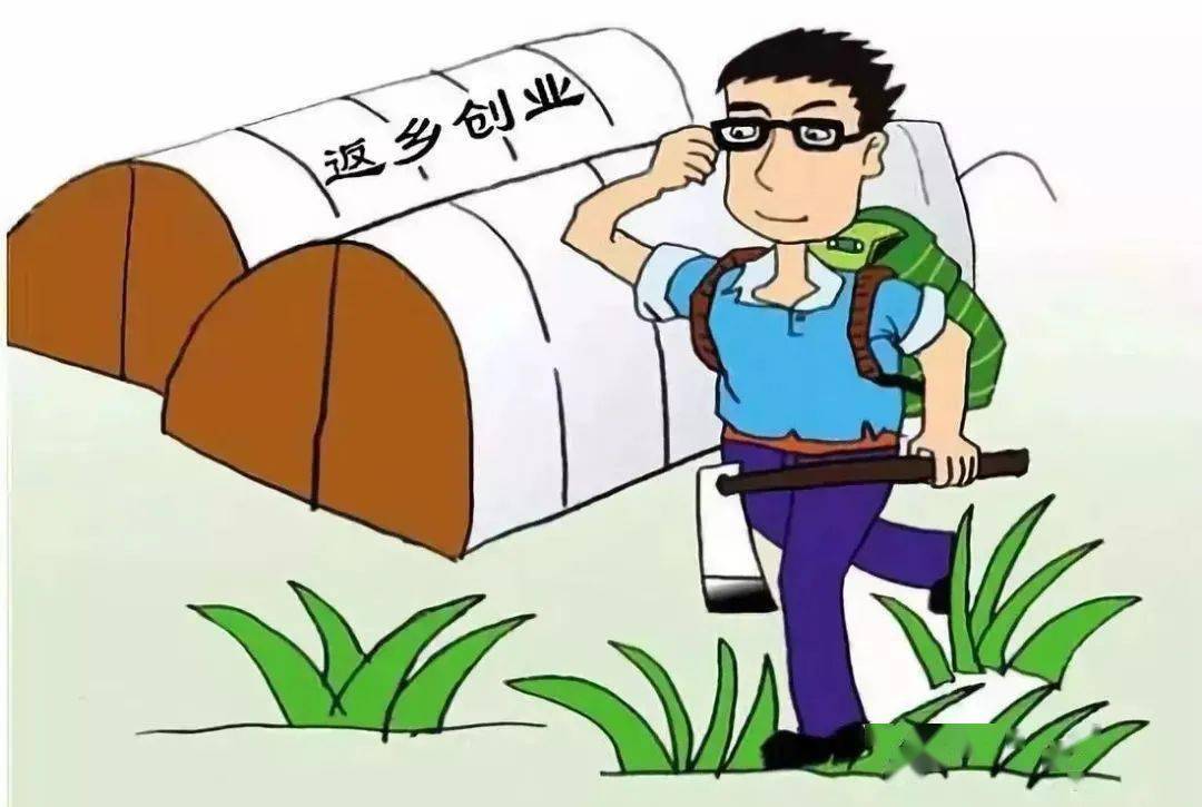 在县城如何销售土鸡蛋,卖土鸡蛋怎么做销路