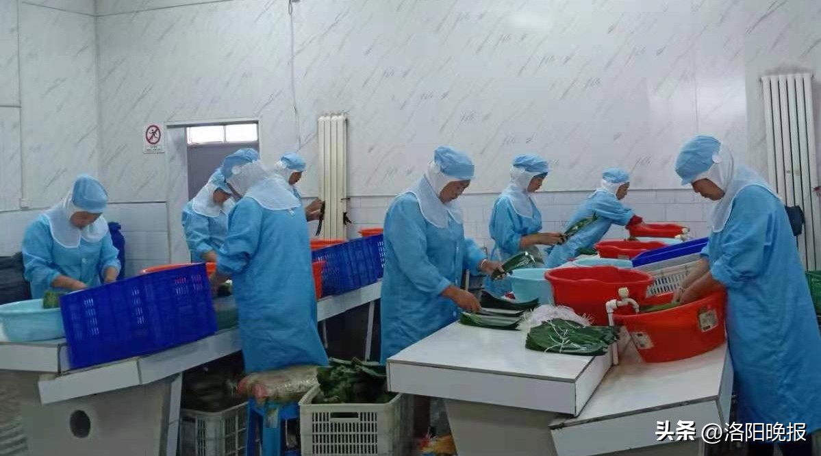 宿松小艾草成为脱贫致富黄金叶,车村镇槲叶