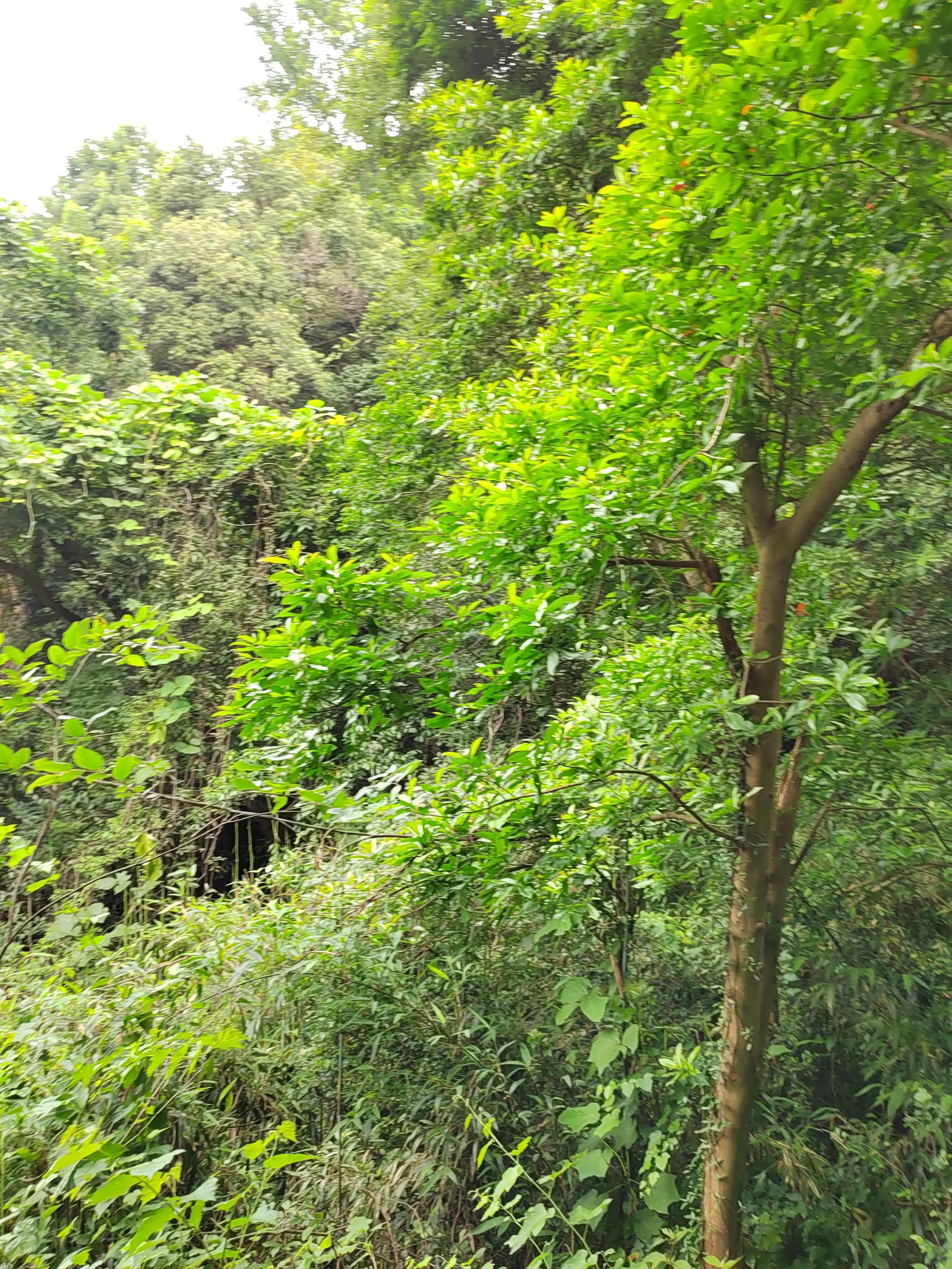 不由得想起家乡,不由自主地想起远方的亲人