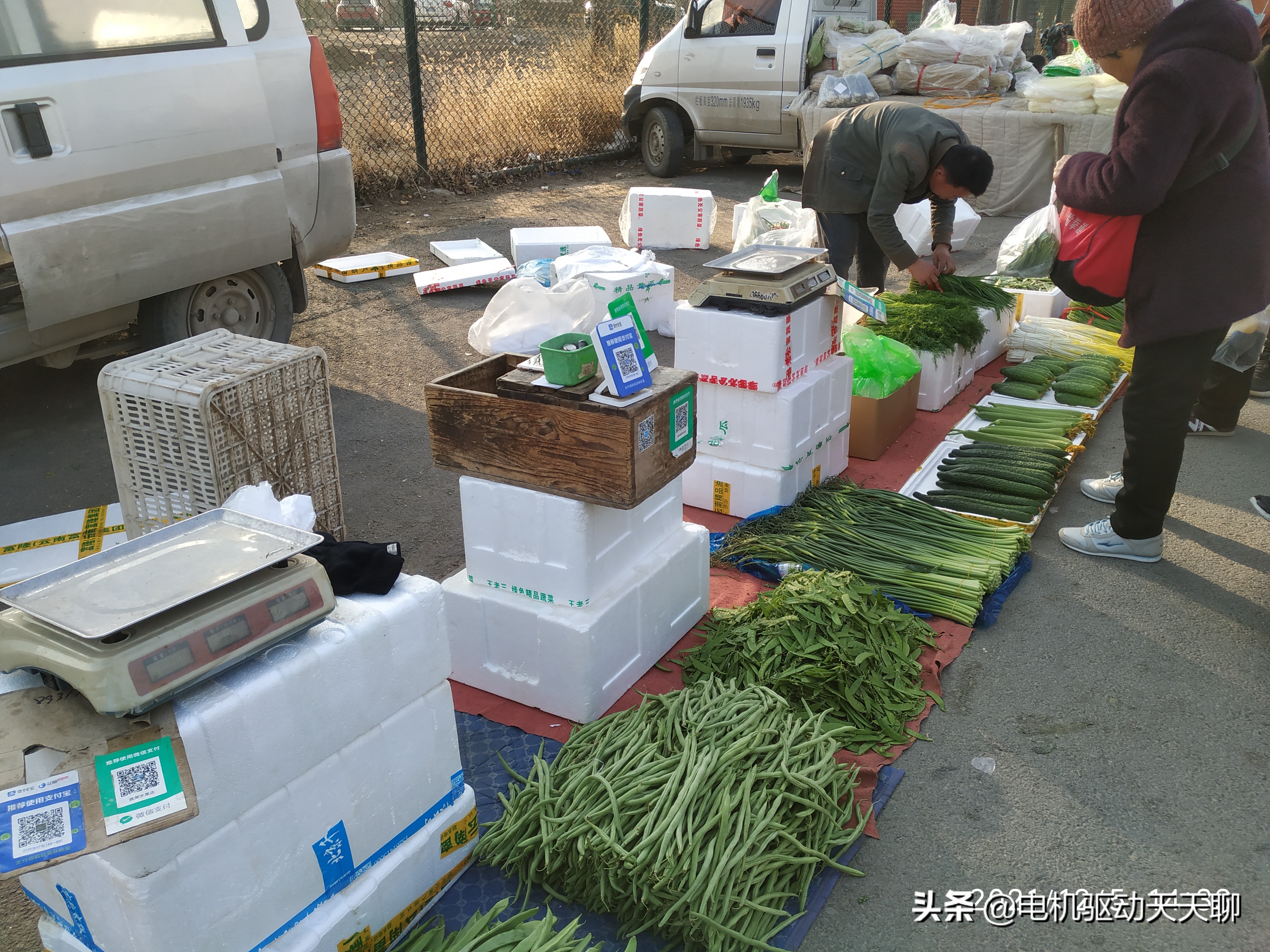 窦店田家园大集什么时间开放,房山窦店田家园大集现在开了吗