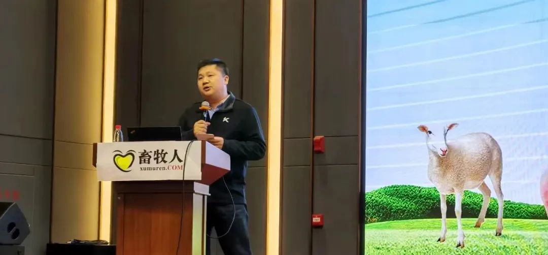 饲料企业爆品突破,饲料企业爆品突破研讨会