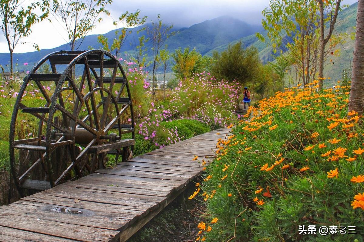 女作家去做保姆最新一期内容,女作家去做保姆520