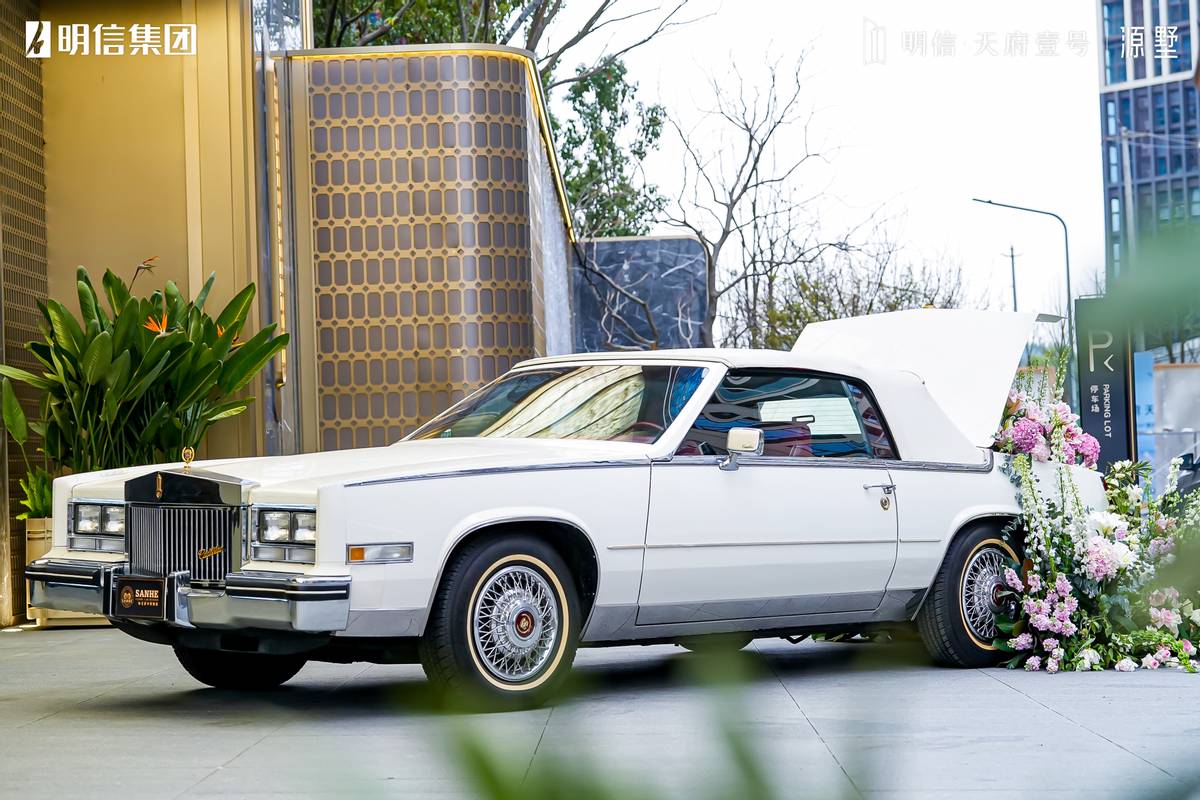 春日花事全屏,春日花事