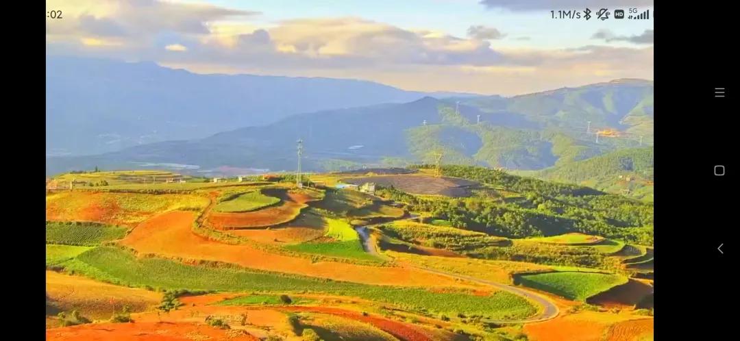 电信营业厅app可以查询通话记录吗,电信营业厅app怎么看有哪些套餐