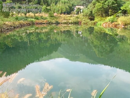 2024山东泰安物理一模考试卷,安徽中考2023物理一模试卷