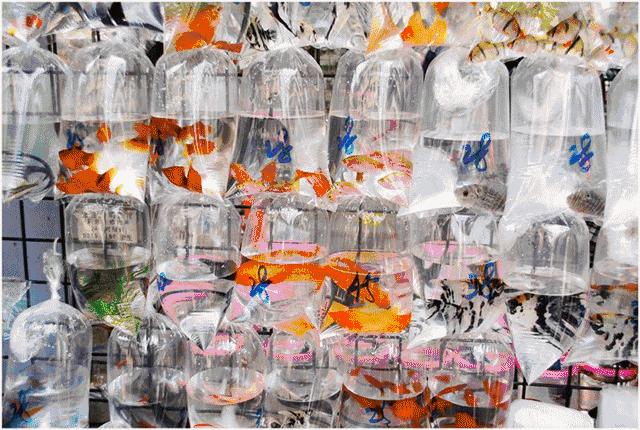 原来我们那么相爱,原来我们曾经那么相爱