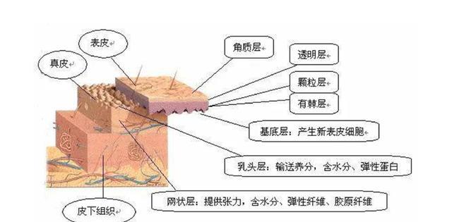 男生皮肤护理正确步骤,皮肤护理的基本步骤有哪些