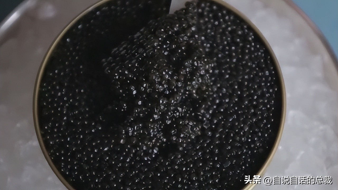 从2亿年不进化的王者，到比黄金还贵的食物，背后隐藏着商业秘密