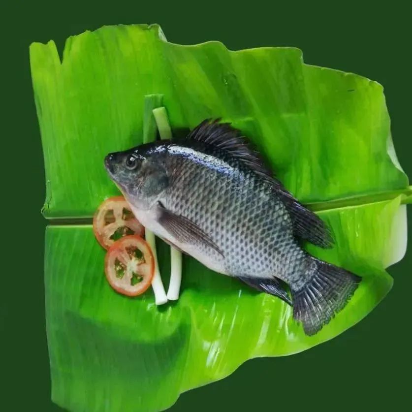 七夕深圳情侣应该去哪里约会,深圳超浪漫的七夕约会圣地推荐