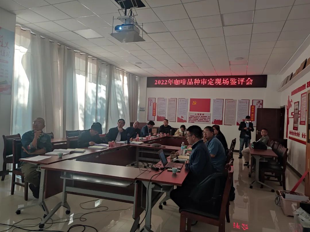 云南咖啡在追寻一个怎么样的“精品化”？