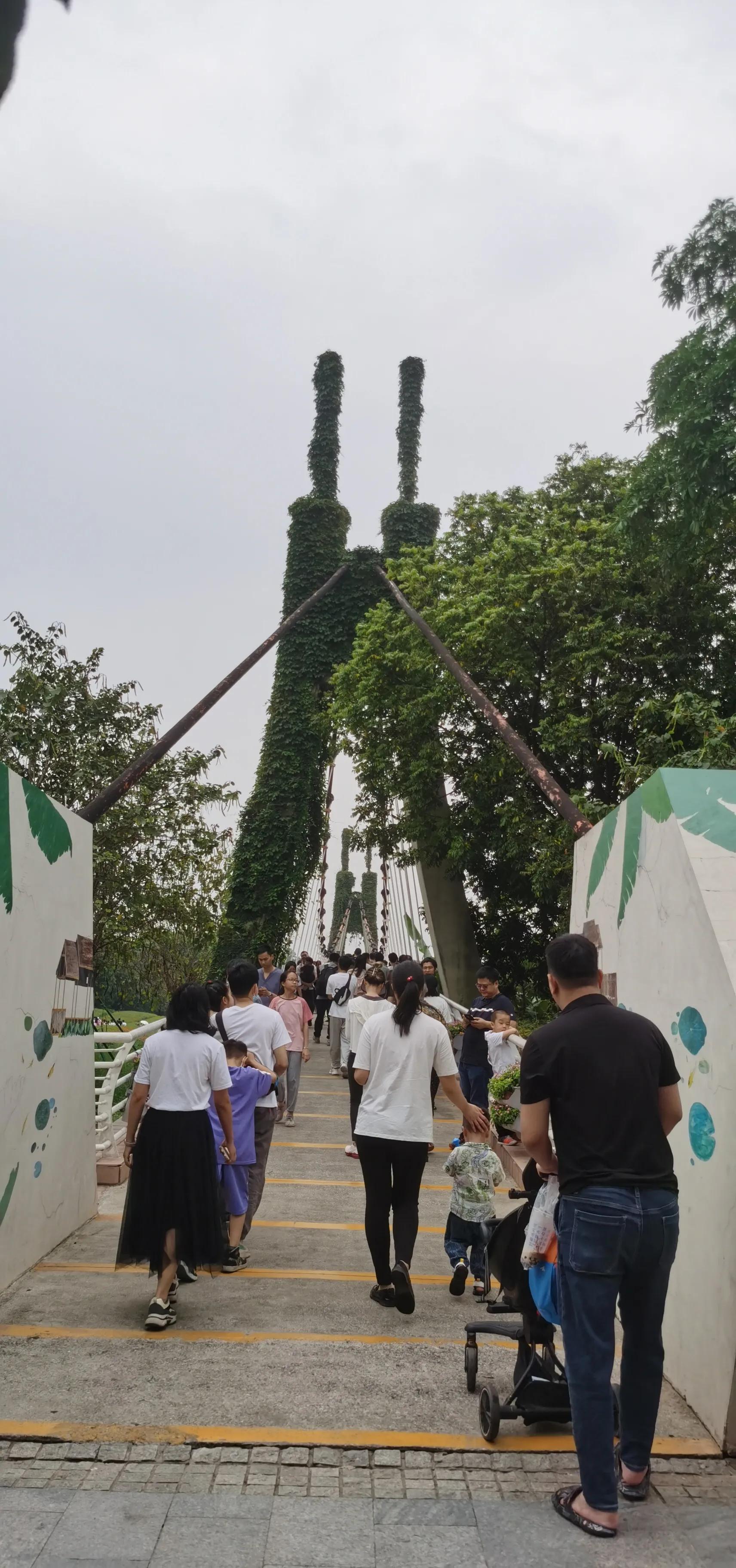 海珠湖湿地公园观鸟,海珠湖湿地公园地图