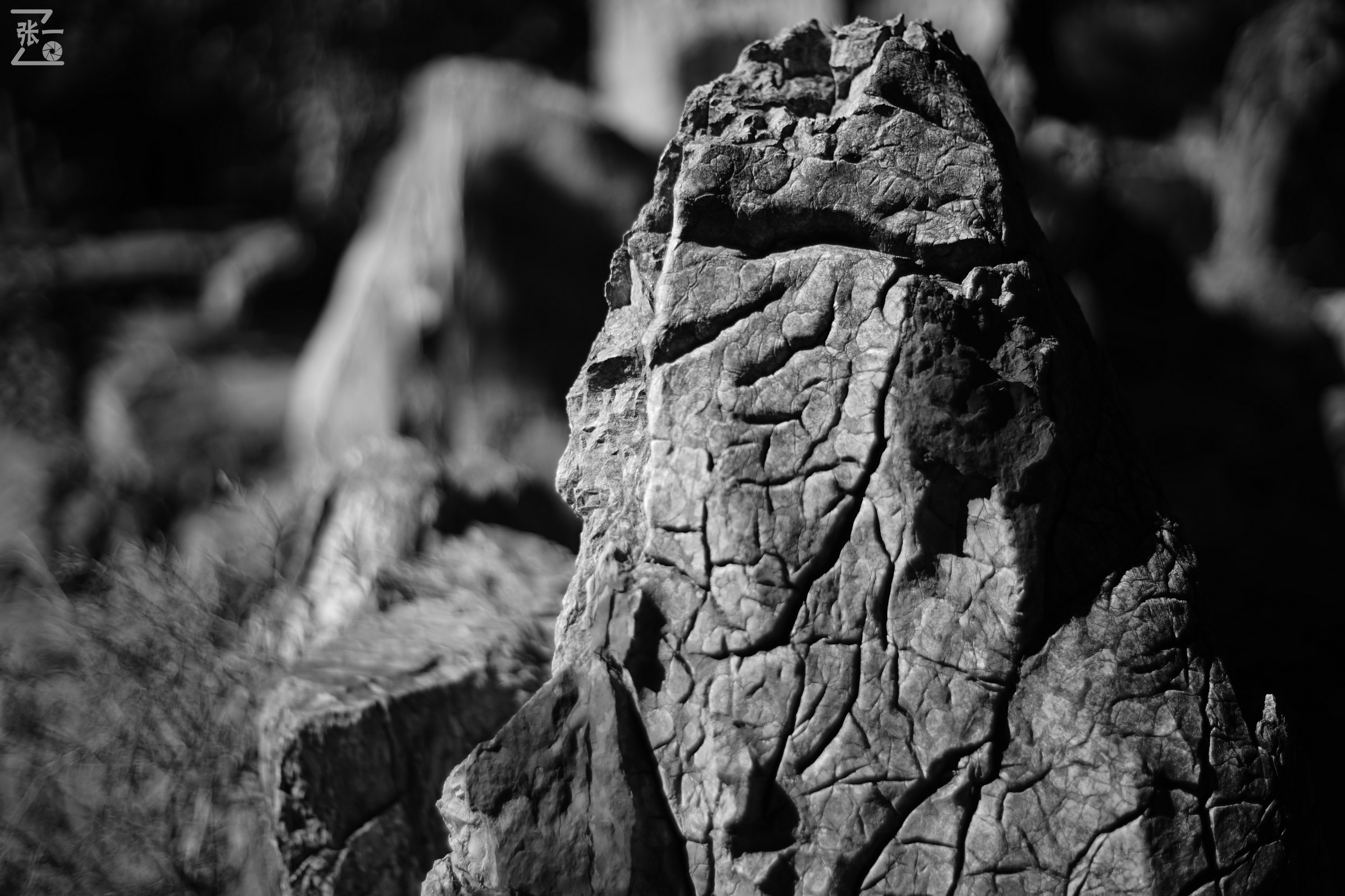 老镜头实拍,老镜头拍北京