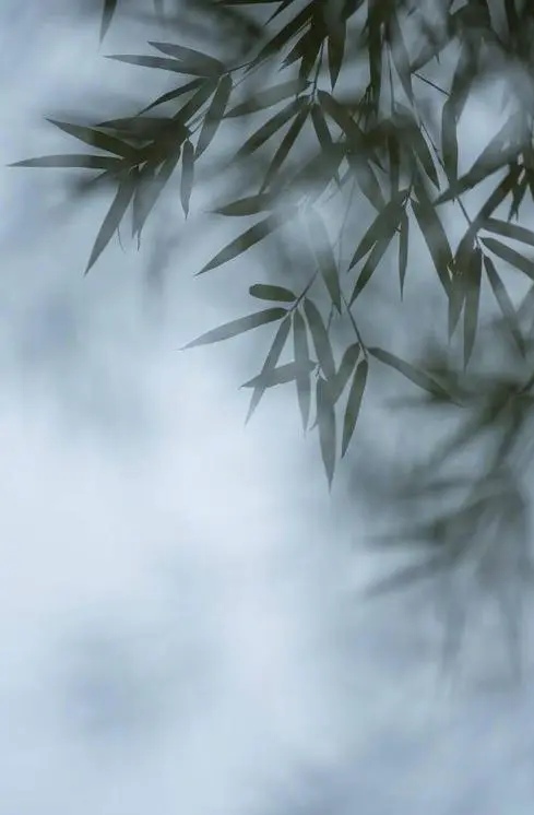 夏日随笔经典散文,夏日暖心的散文