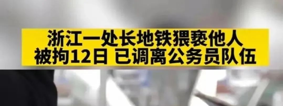 浙江一省厅处长用生殖器猥亵女子|真实事件