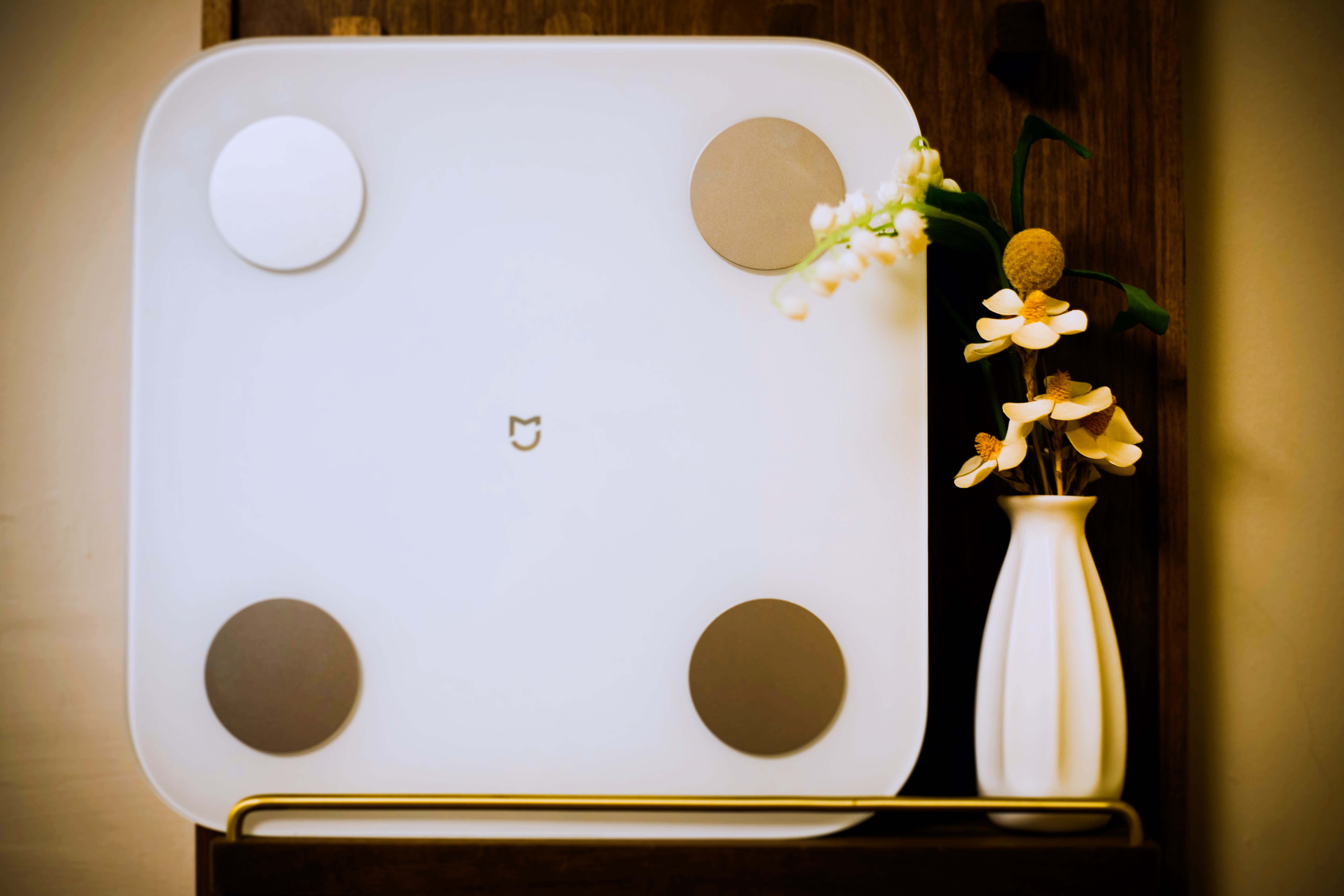 智能体脂健康秤推荐,米家99元体脂秤