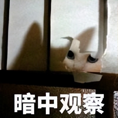 去日本读硕士，一年究竟要花多少钱才够？