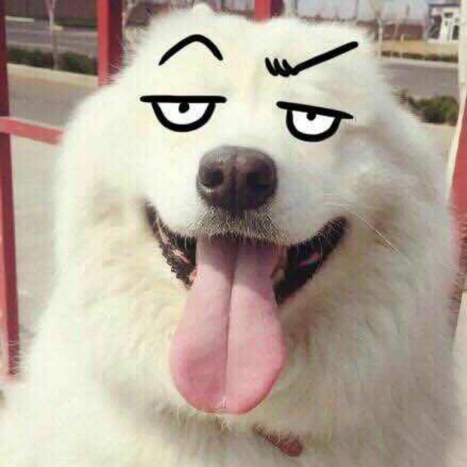 0007渣男分钱给大家