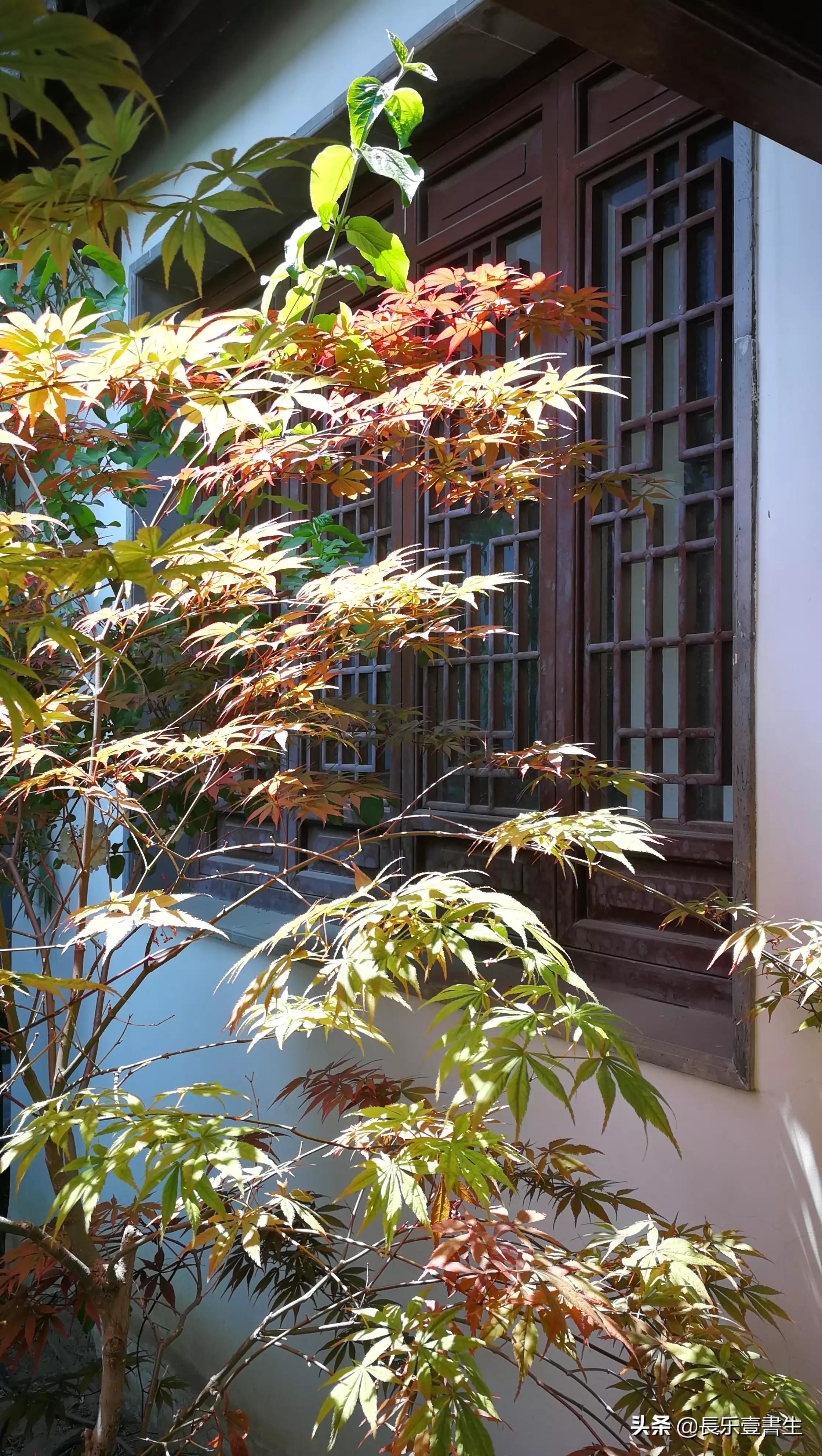 中国园林博物馆游览时间表,小众游玩强烈推荐北京园林博物馆