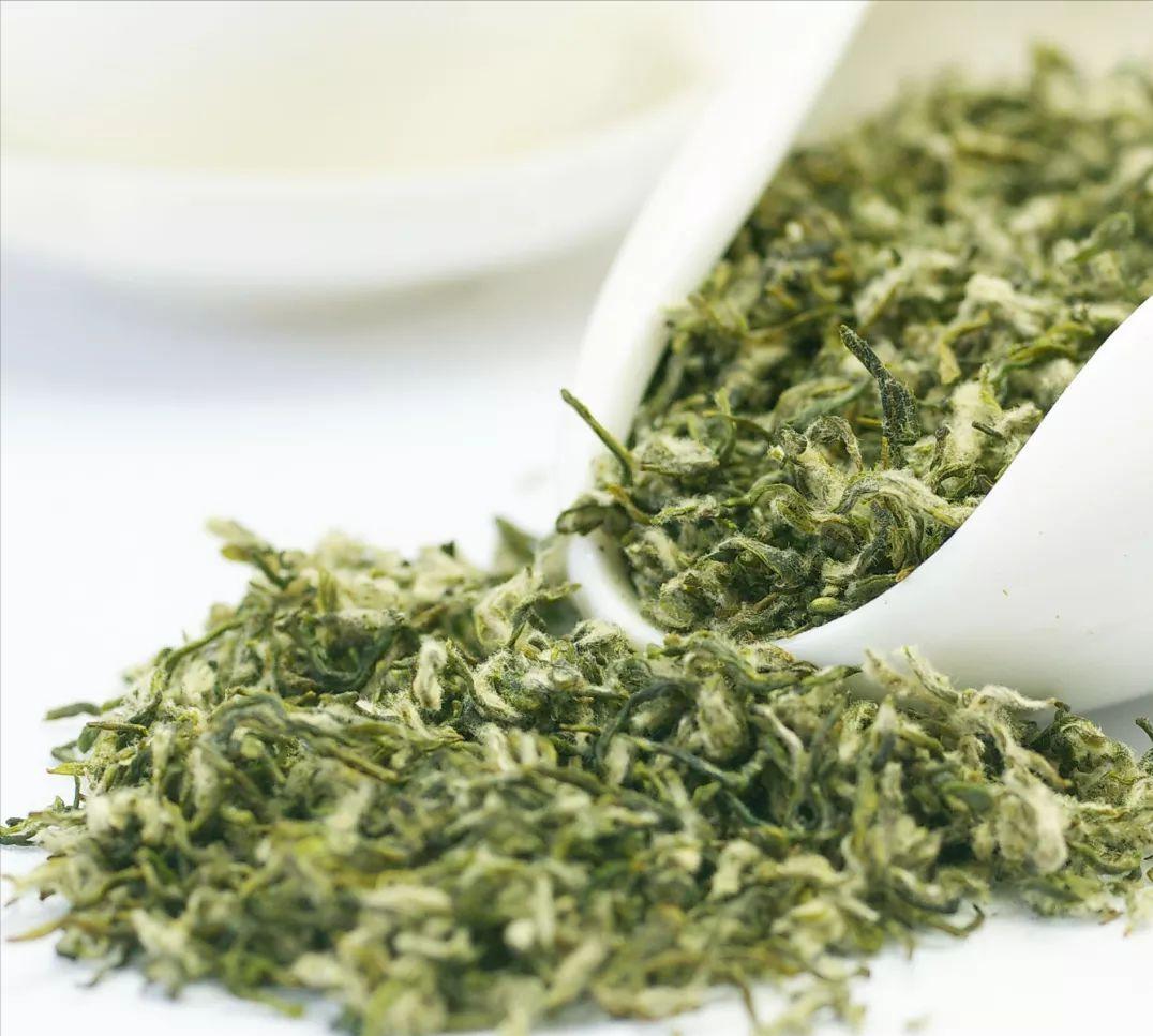 有哪几种绿茶比较出名,绿茶哪里产的茶最好
