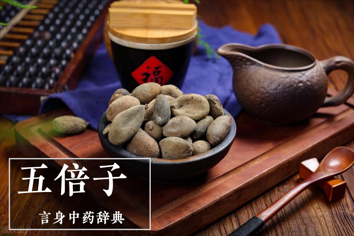 五倍子降火利咽,五倍子和仙灵脾泡水喝