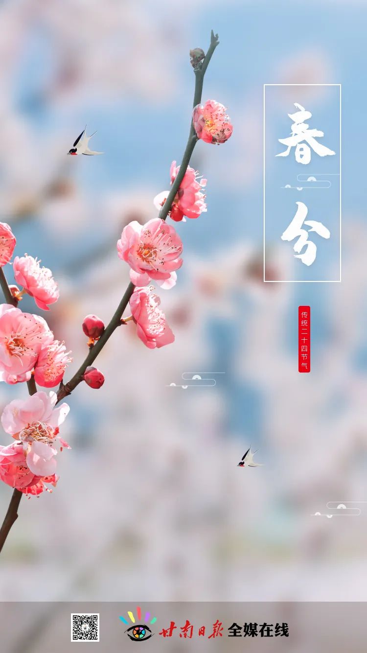 今日春分完整版视频,今日春分全文及解析