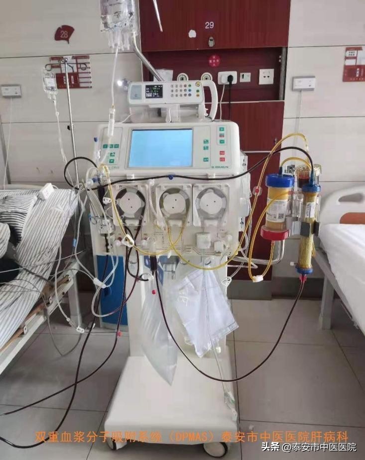 医心向党踔厉奋进直播,医心向党致敬医师节