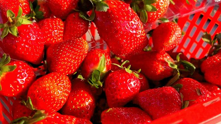 两人从化两天一夜游玩攻略,去从化玩的攻略