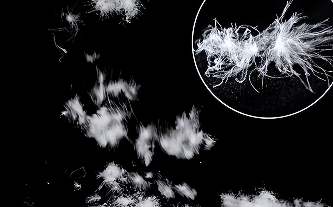 棉花做的棉袄和羽绒服哪个更保暖,羽绒服和棉袄哪个更保暖