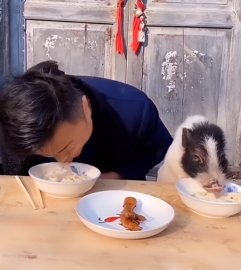 “狗界巅峰”：“把鸭当妈”骑鸭背上，全网最萌小狗吸粉550万