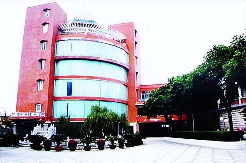 杨钰莹恋爱分手后现在过得怎么样,杨钰莹谈初恋现状