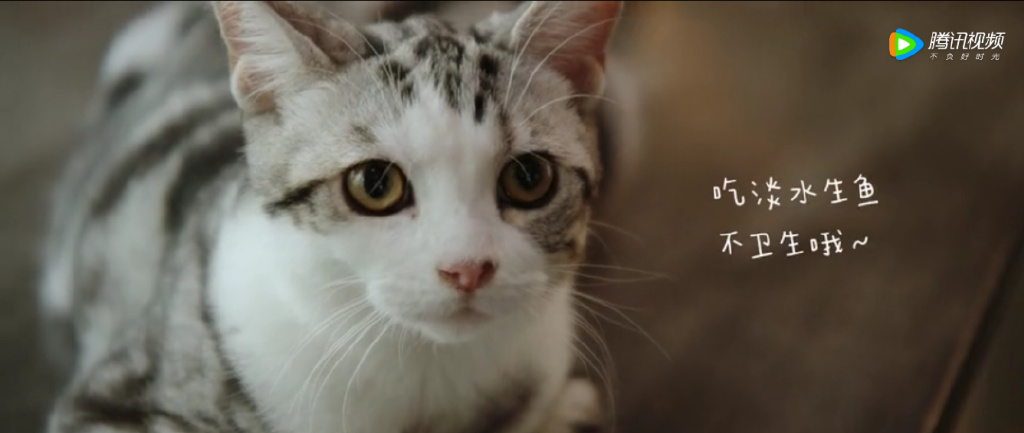 写好一个美食推荐视频脚本,美食脚本自学入门教程