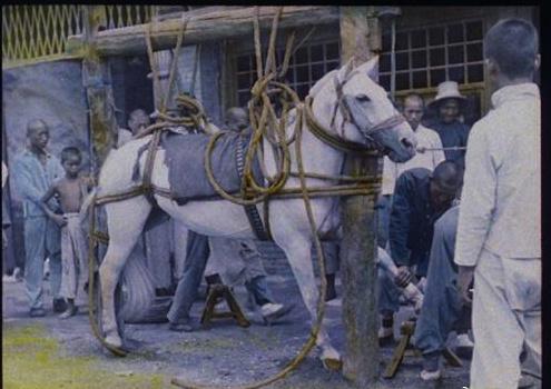 日本暴行老照片,老照片揭露日本暴行