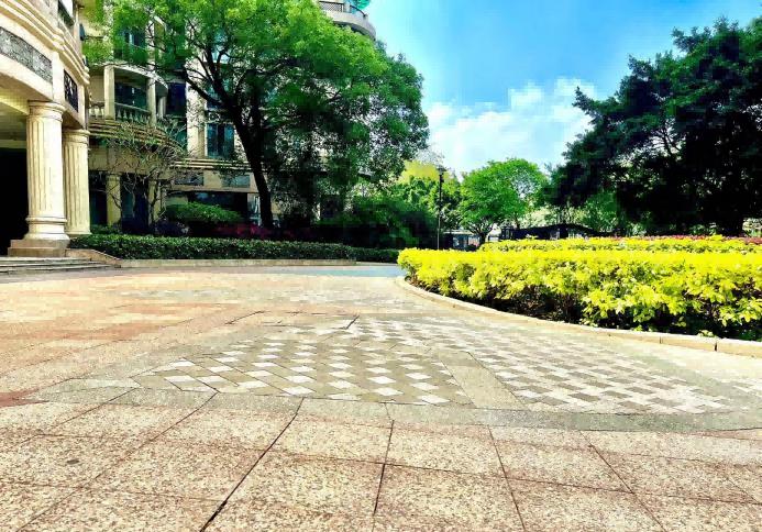 打赢了官司开发商跑了违约金找谁,打赢了官司开发商申请破产