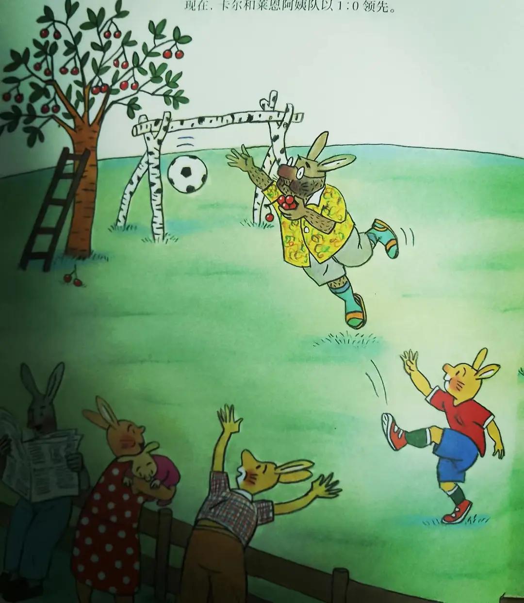 足球热爱者必读的书,足球青训启蒙课程书籍