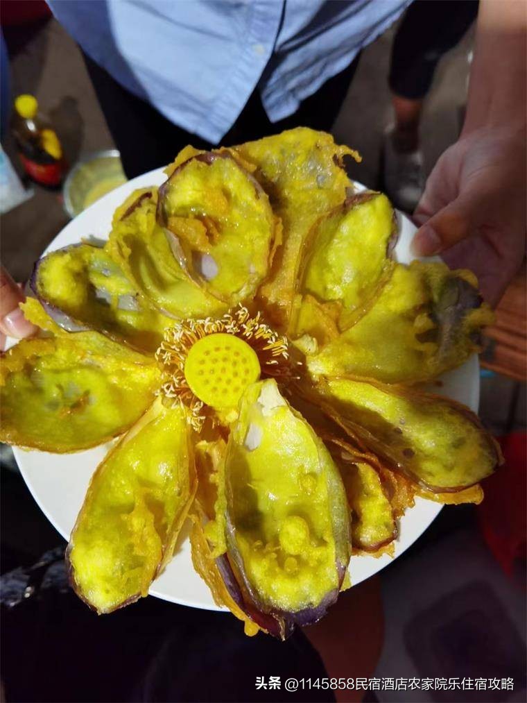 白洋淀农家打鱼,白洋淀农家院野钓推荐