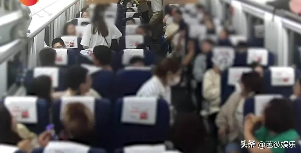 成都高铁掌掴事件车厢完整视频,成都高铁掌掴事件原视频