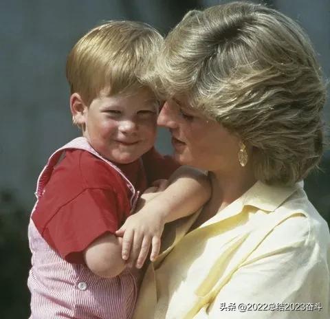 哈里王子新书备胎,哈里王子拟出回忆录