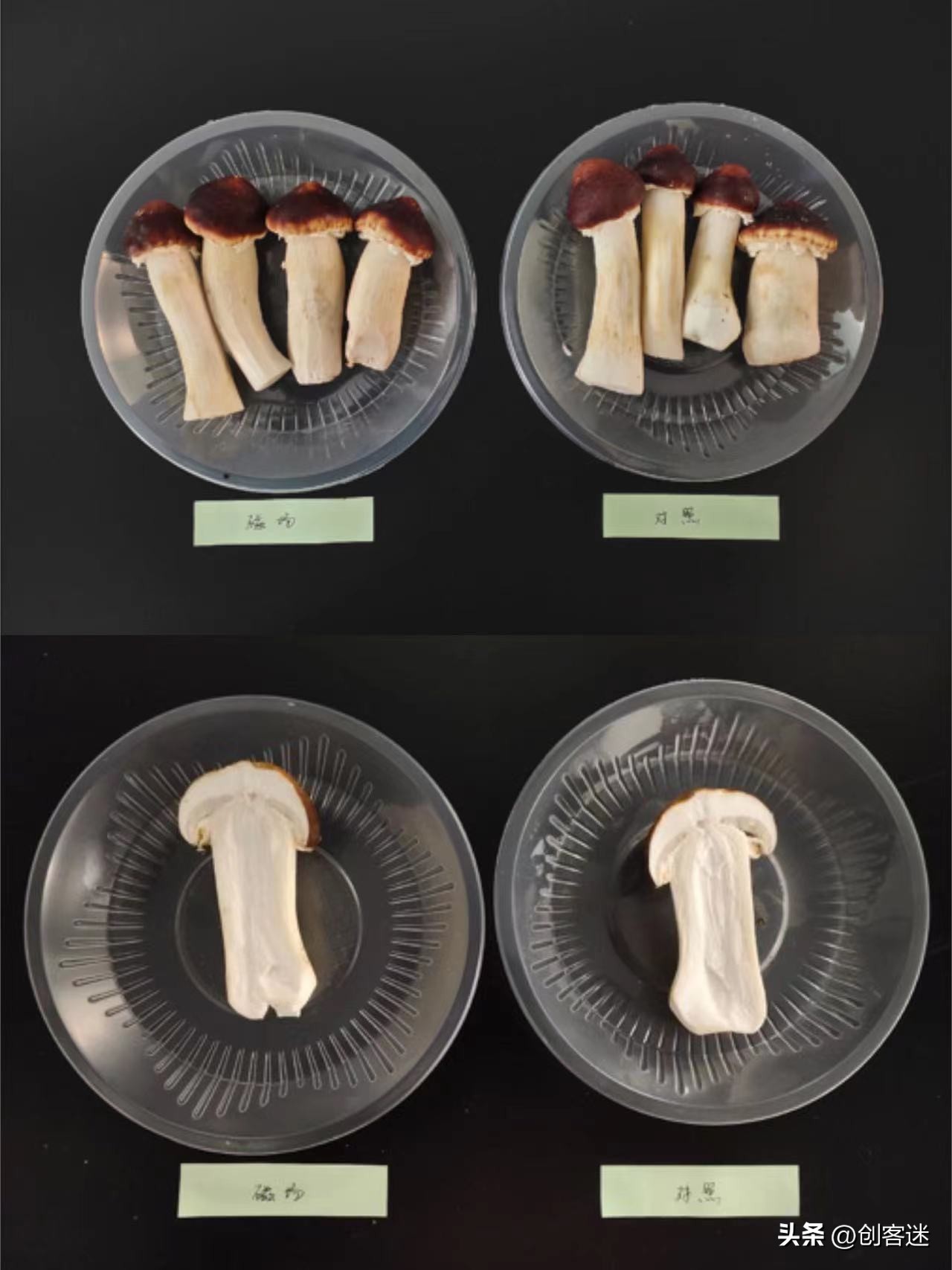 双十一冰箱选购攻略,双十一选购大容量冰箱