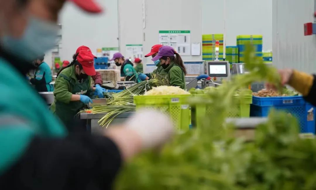 疫情当下什么行业赚钱,不受疫情影响的十大行业排名