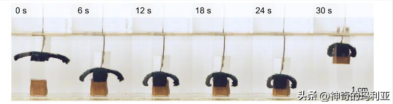 磁性响应水凝胶,光热效应水凝胶