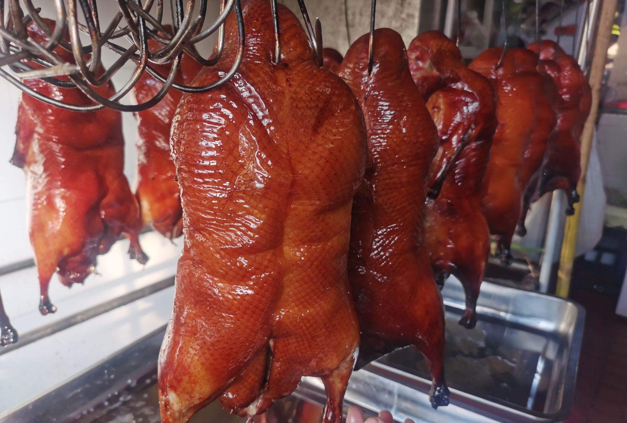 街头烤鸭为什么便宜,烤鸭15元一只的是什么鸭