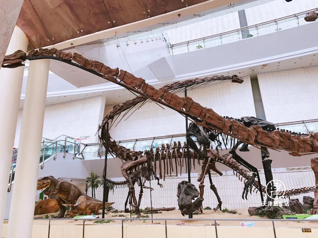 为什么说天津是很特殊的城市,天津哪里不算是市中心