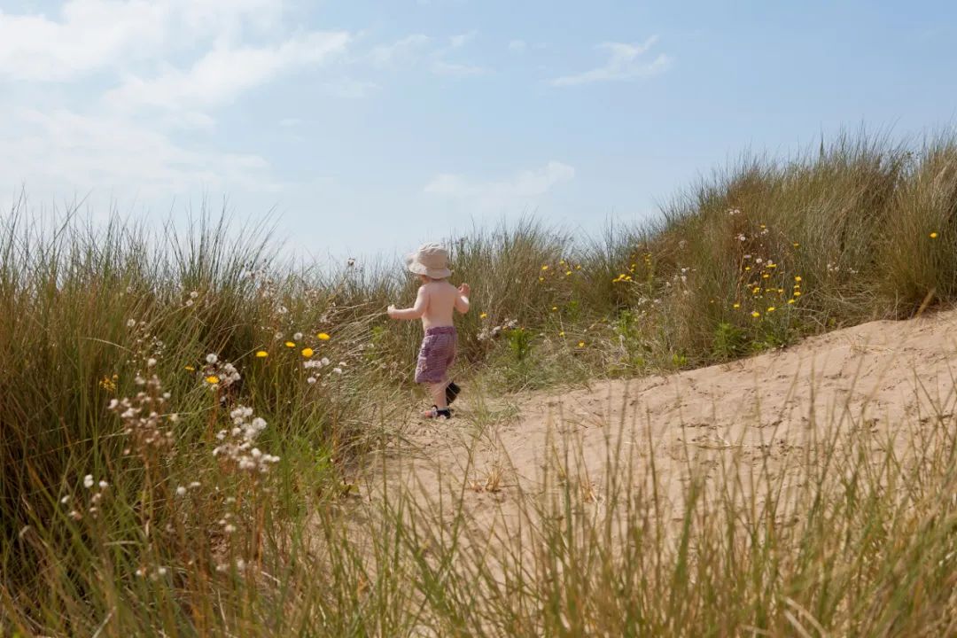 若觉生活太难，不妨读读《盐镇》
