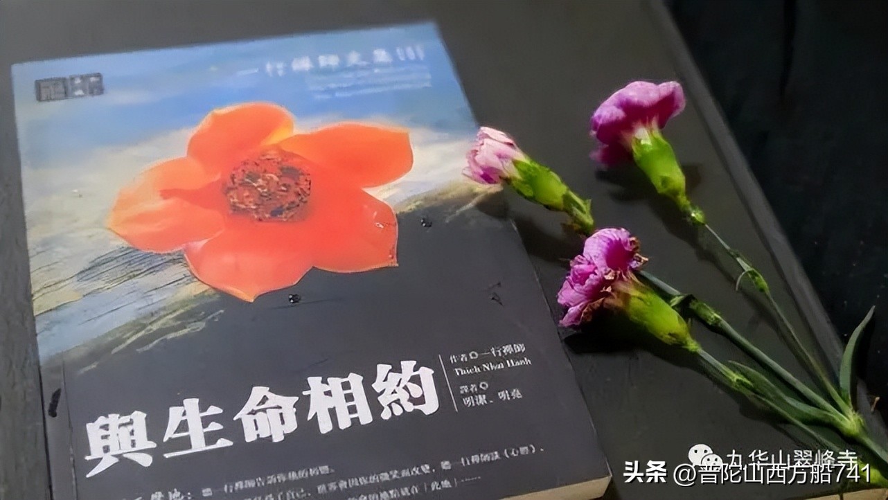 追梦人说话,追梦人携手共进