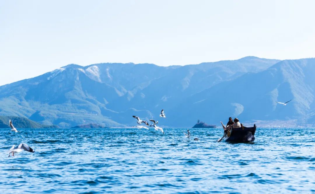 云南西双版纳跨省游最新通知,云南跨省游最新通知