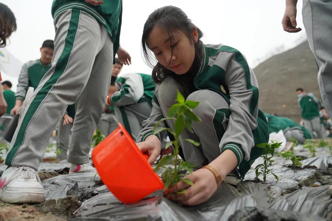教育温暖的瞬间,一分钟看懂成都教育