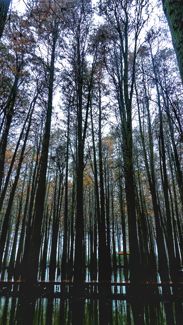 在江苏的“绿林仙海”中，寻找侠气与柔情