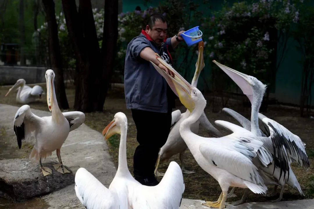3月份沈阳一日游攻略推荐,沈阳自驾草原三日游