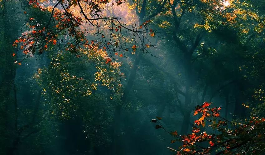 千秋作卷朗诵,千秋作卷山河为答怎么读