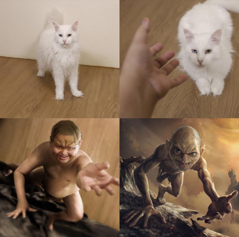 哈哈哈这些猫咪cospaly好怪，再看一眼，还是好怪